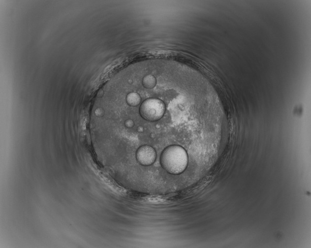 X0000114680668200911121457