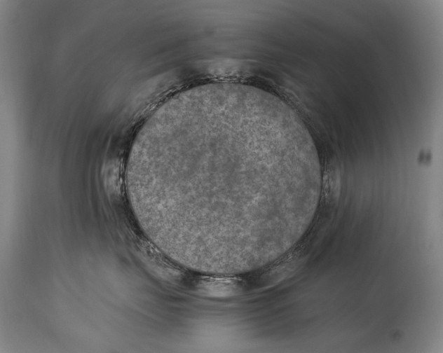 X0000114680671200911121457