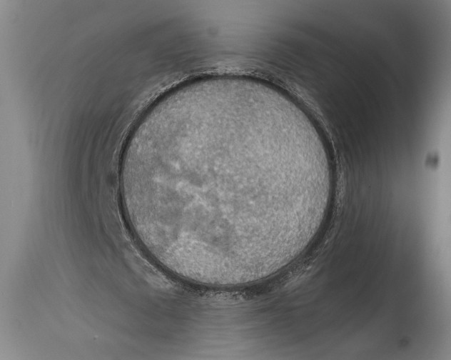 X0000114680673200911121457