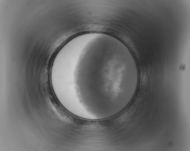 X0000114680674200911121457