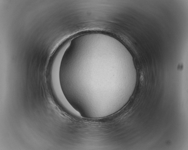 X0000114680676200911121457
