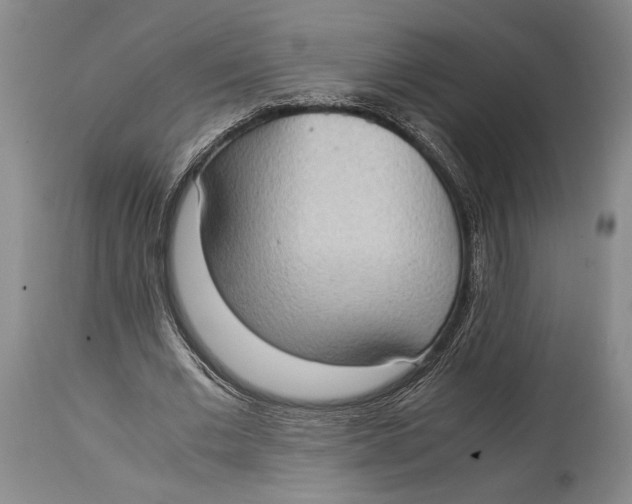 X0000114680677200911121457