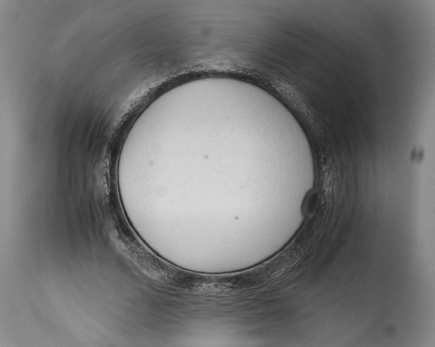 X0000114680680200911121457