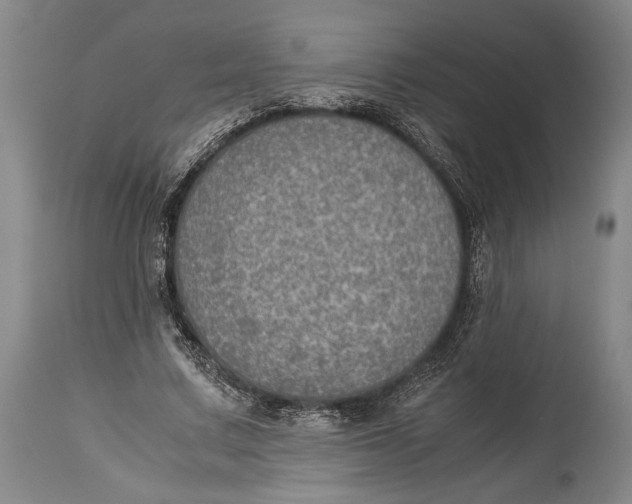 X0000114680683200911121457