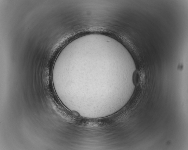 X0000114680684200911121457