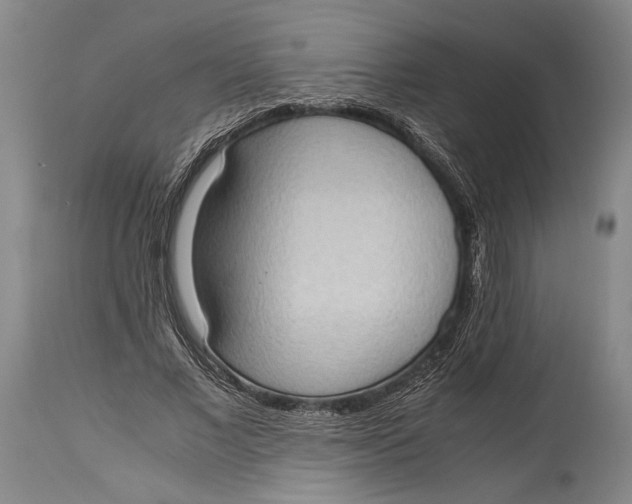 X0000114680685200911121457
