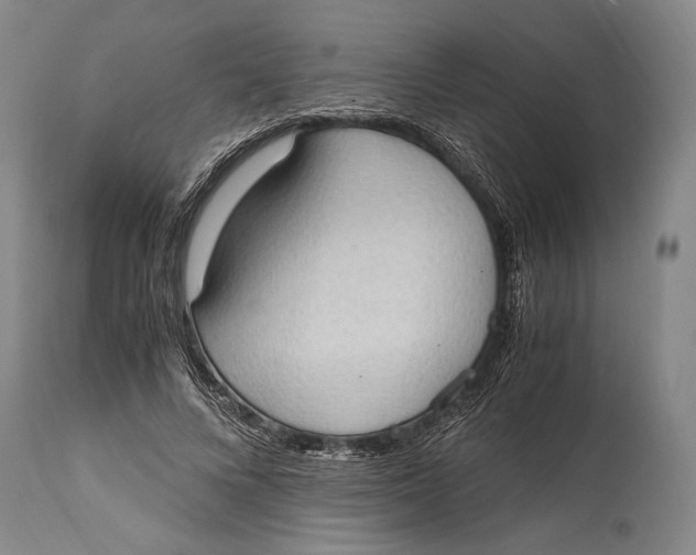 X0000114680688200911121457