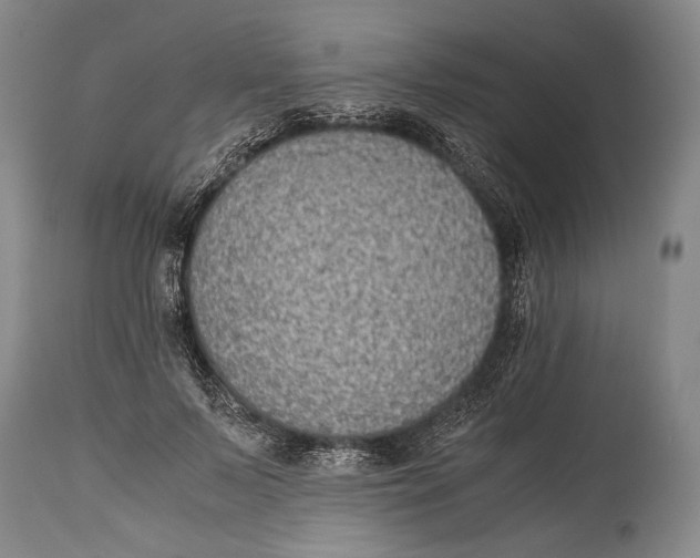 X0000114680695200911121456