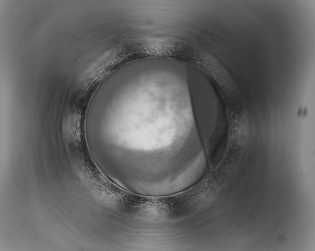 X0000114680696200911121456