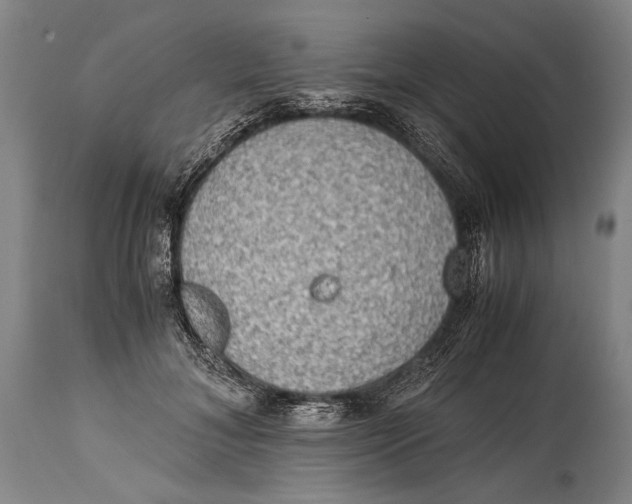 X0000114680700200911121456