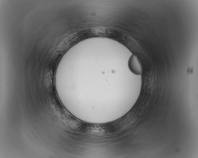 X0000114680702200911121456