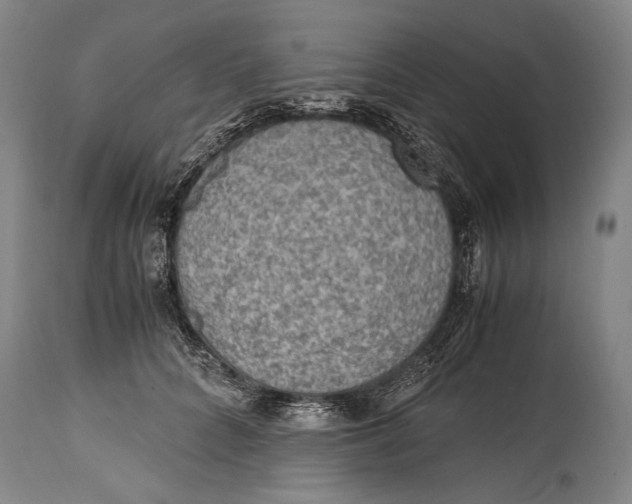 X0000114680704200911121456
