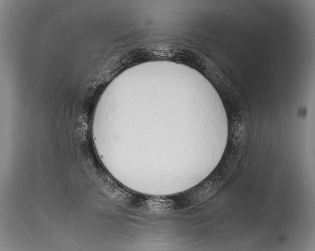 X0000114680707200911121456