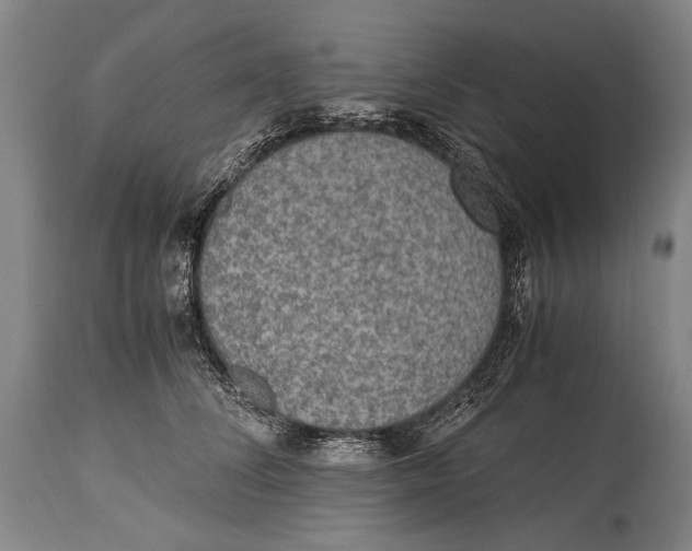 X0000114680708200911121456
