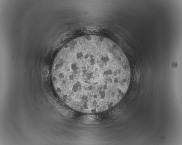 X0000114680711200911121456