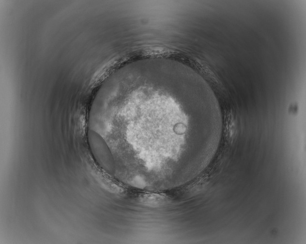 X0000114680716200911121456