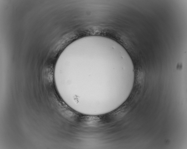 X0000114680719200911121456