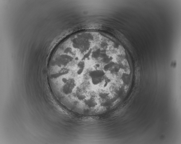X0000114680721200911121455