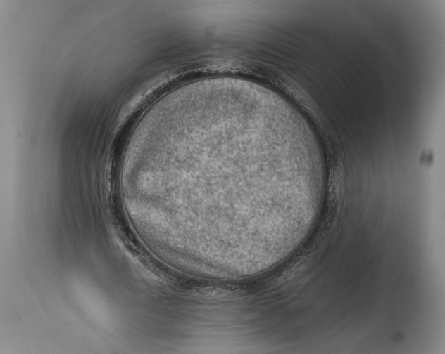 X0000114680722200911121455