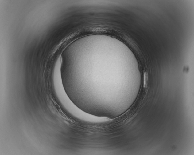 X0000114680723200911121455