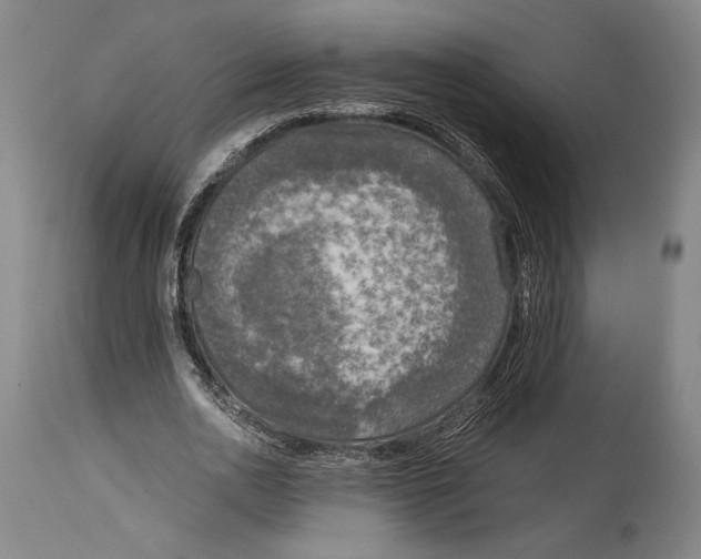 X0000114680726200911121455