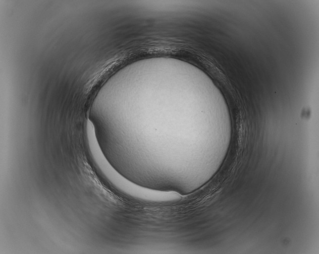 X0000114680729200911121455