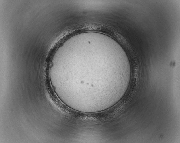 X0000114680730200911121455