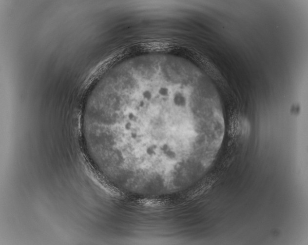 X0000114680733200911121455