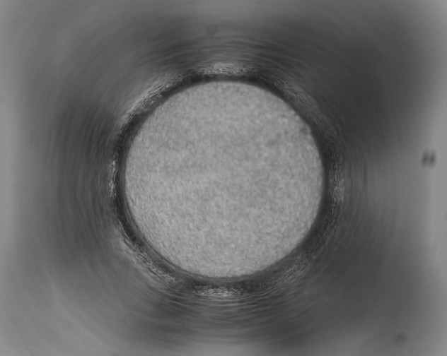 X0000114680735200911121455