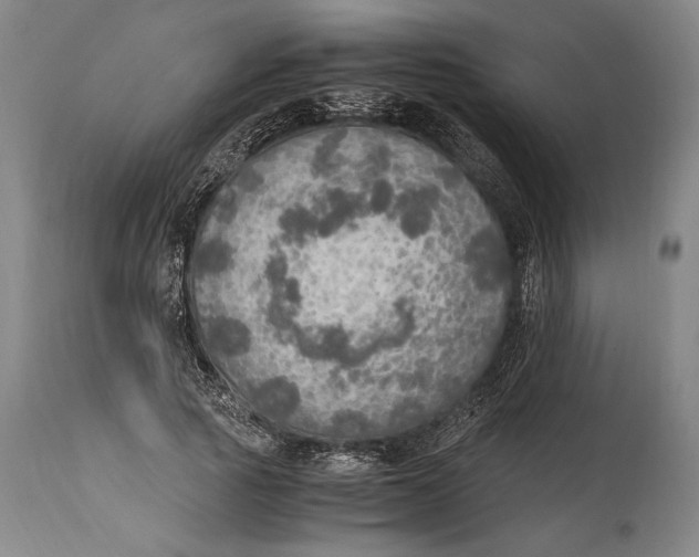 X0000114680737200911121455