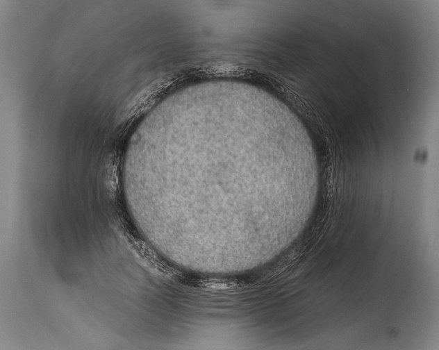 X0000114680746200911121456