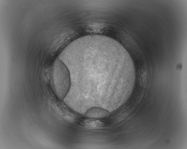 X0000114680747200911121456