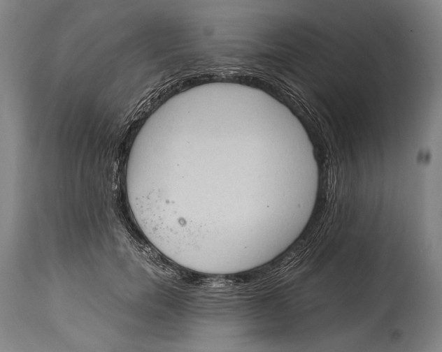 X0000114680750200911121456