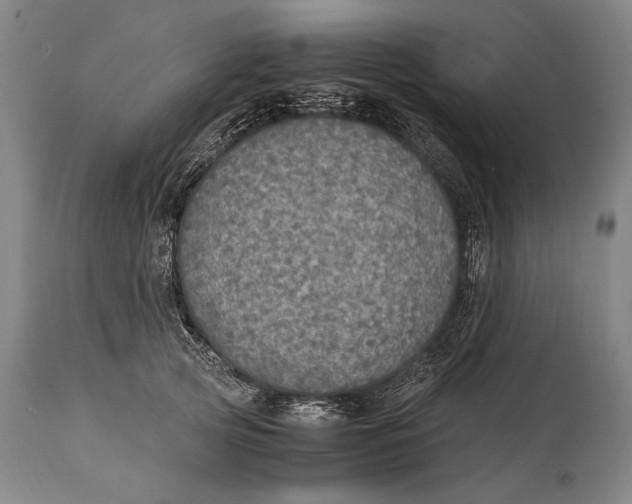 X0000114680753200911121456