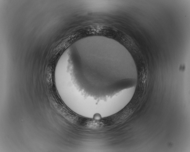 X0000114680754200911121456