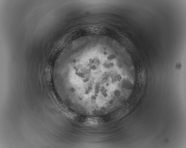 X0000114680757200911121456