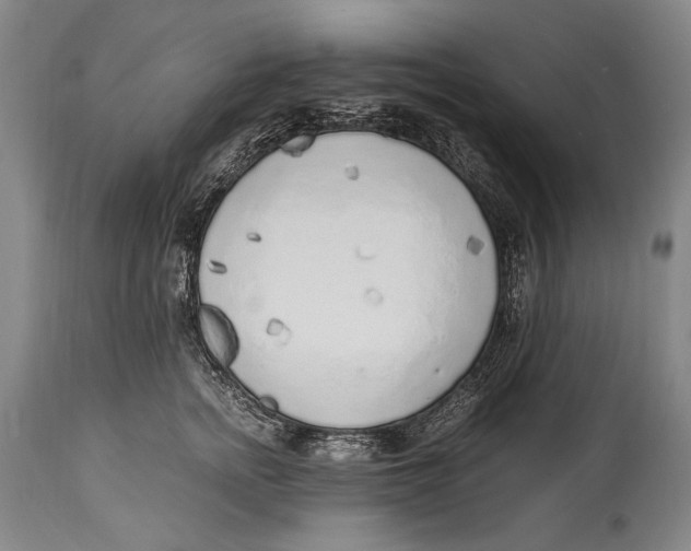 X0000114680758200911121456
