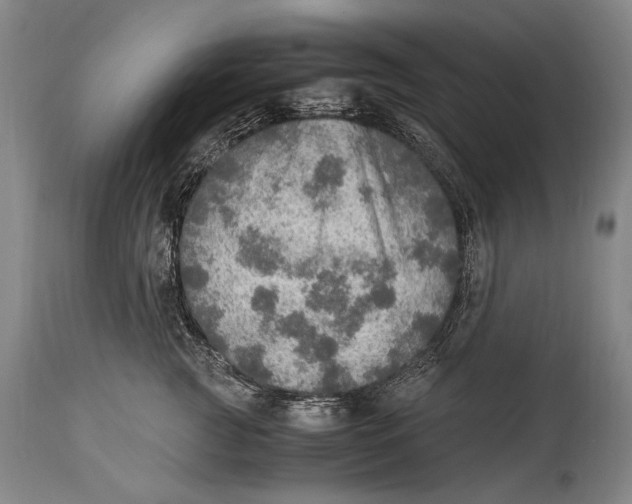 X0000114680761200911121456