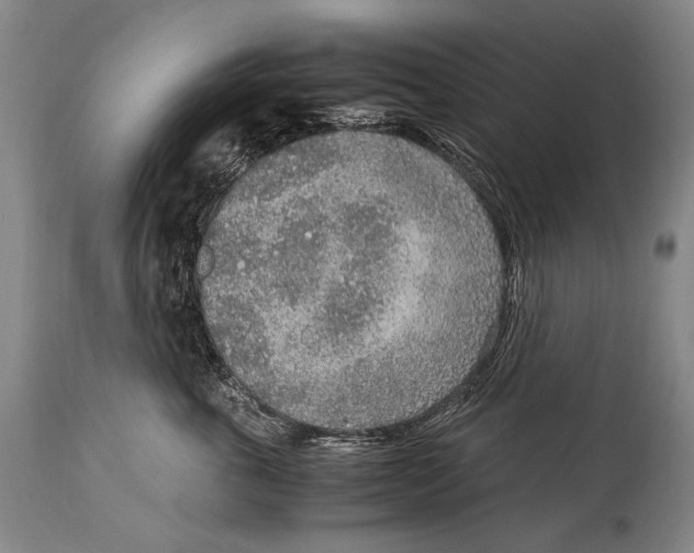 X0000114680763200911121456