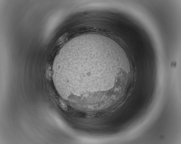 X0000114680766200911121456
