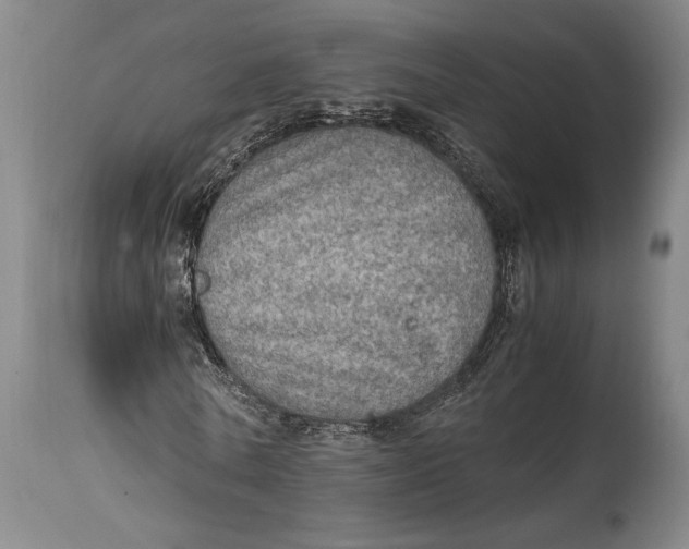X0000114680770200911121455