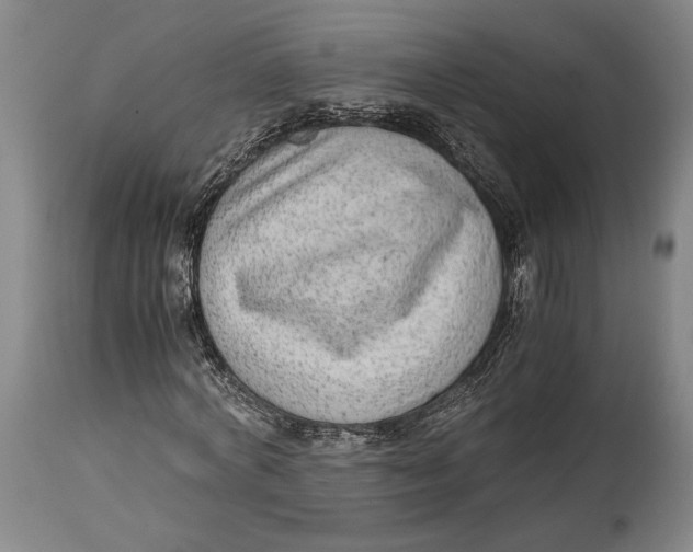 X0000114680772200911121455