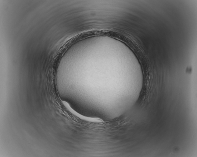 X0000114680773200911121455