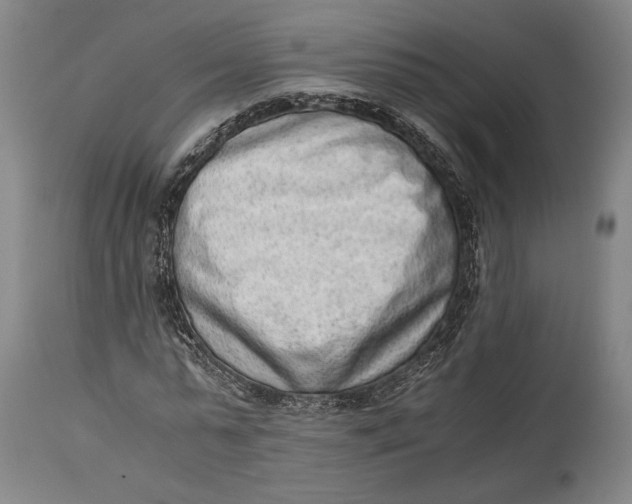 X0000114680775200911121455