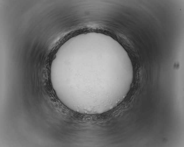 X0000114680776200911121455