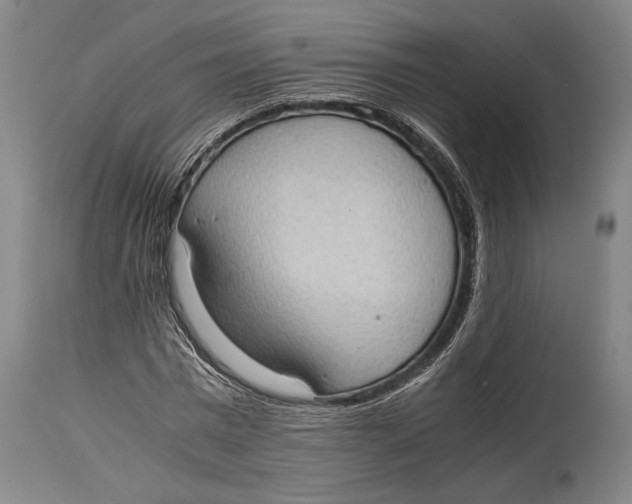 X0000114680777200911121455