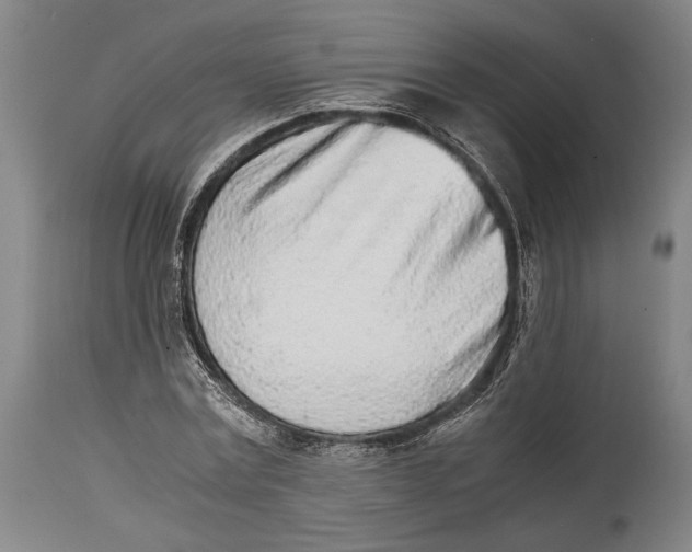 X0000114680779200911121455