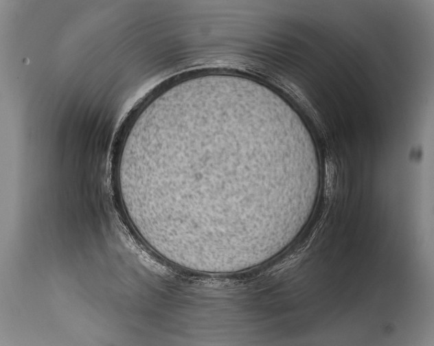 X0000114680780200911121455