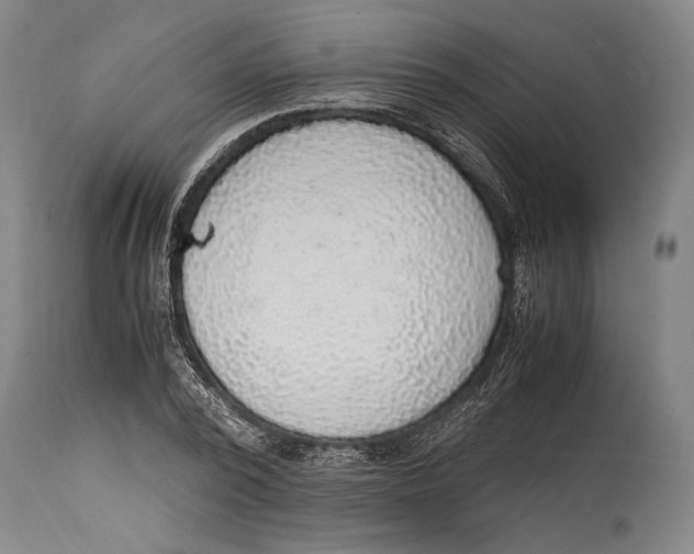 X0000114680784200911121455
