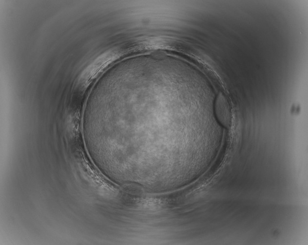 X0000114680785200911121455